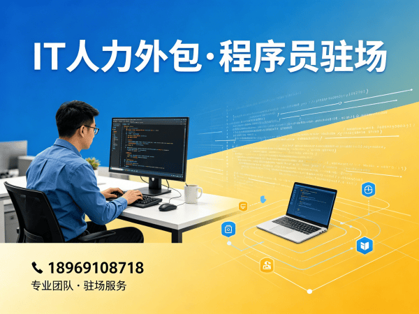 宁波IT人力外包解决方案：破解技术团队搭建难题，实现降本增效