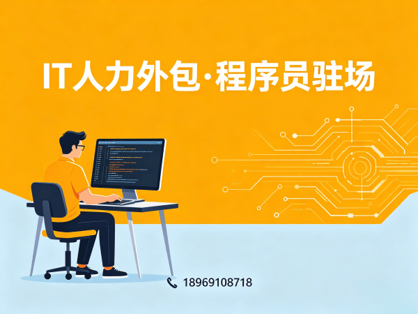 合肥IT人力外包哪家强？程序员驻场开发解决方案助您破解技术人才困局