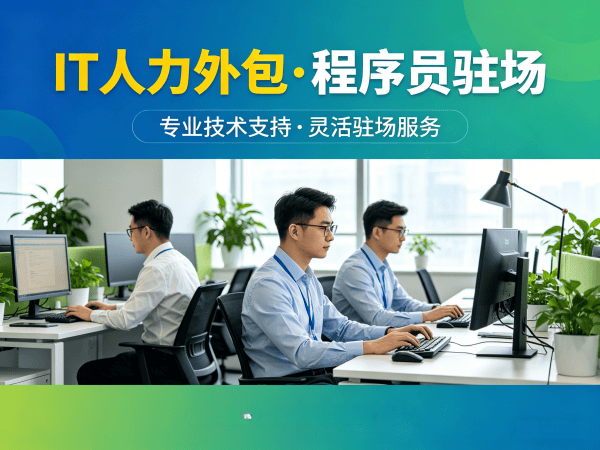 无锡节省成本IT人力外包解决方案：企业数字化转型的高效选择